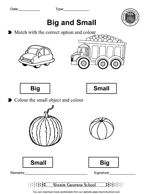big-and-small-concept-free-printable-worksheet-for-class-playgroup-and-nursery-shamim-grammar